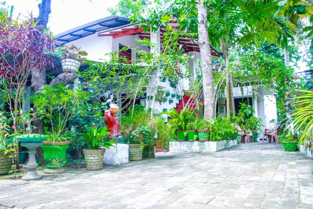Sigiri Tarushan Home Stay Sigiriya Esterno foto